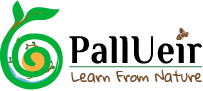 Pallueir Logo